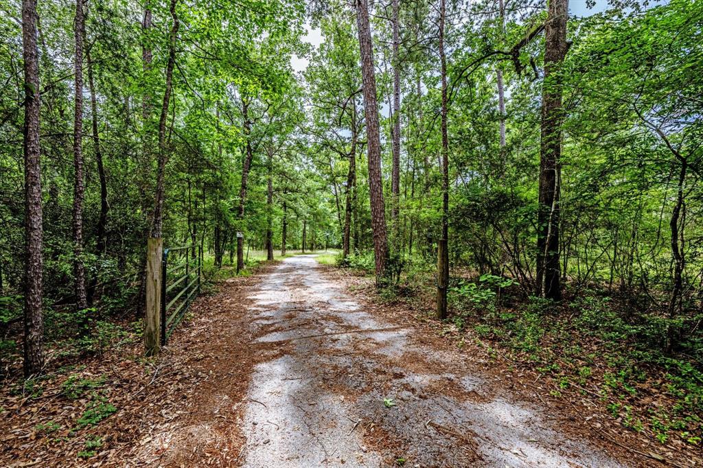 37 Cypress Glenn, Huntsville, Texas image 30