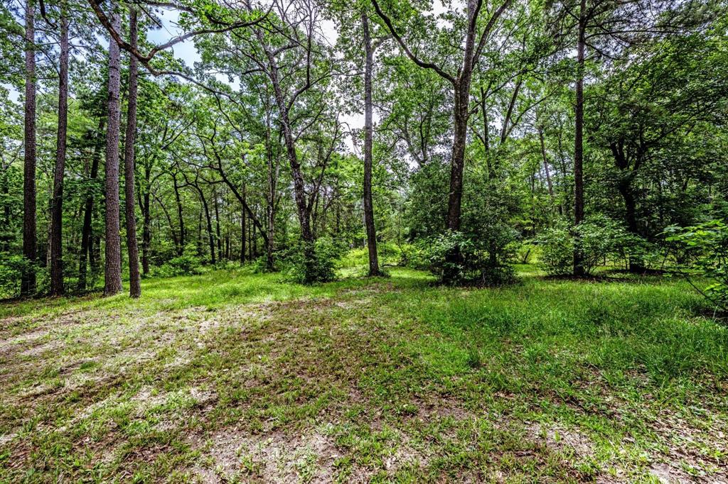 37 Cypress Glenn, Huntsville, Texas image 33