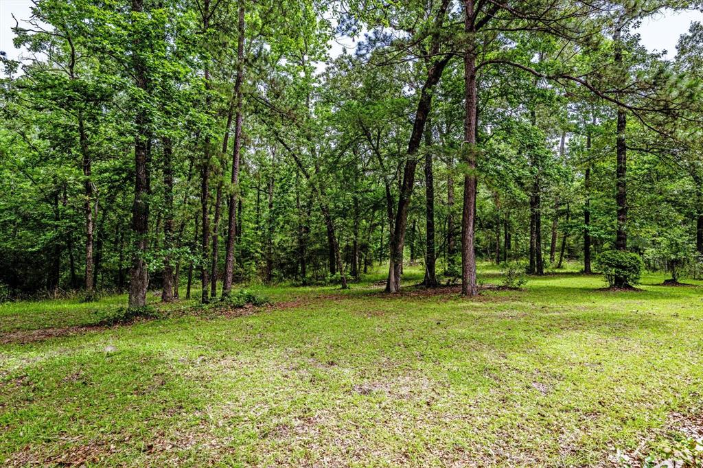 37 Cypress Glenn, Huntsville, Texas image 32