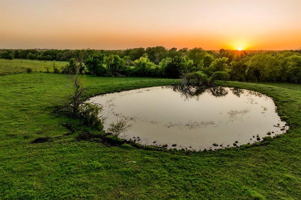 20751 FM 1155 E, WASHINGTON, TX 77880 - Image 80e41d808e2230dde3d15bc113a05e3b/1429282017