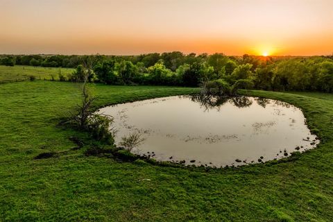 20751 Fm 1155 E Washington TX 77880