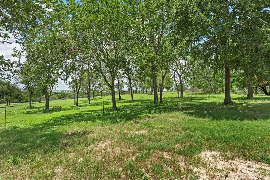 404 County Rd 459, Lott, Texas image 39