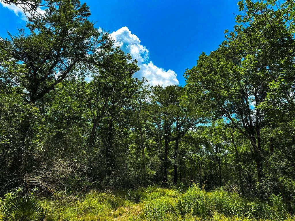 4888 Baldwin Drive, Hungerford, Texas image 18