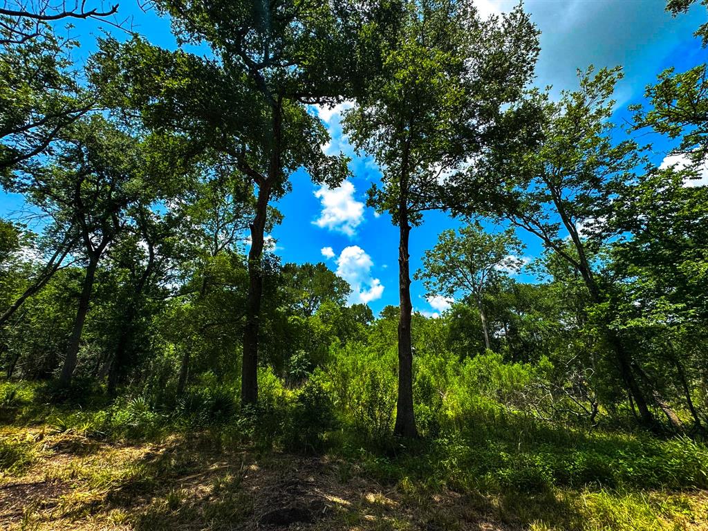 4888 Baldwin Drive, Hungerford, Texas image 14