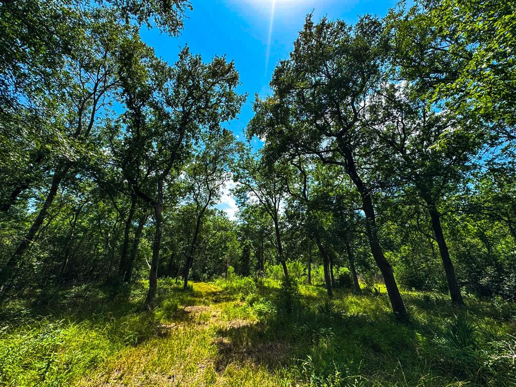 4888 Baldwin Drive, Hungerford, Texas image 7