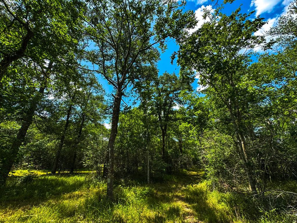 4888 Baldwin Drive, Hungerford, Texas image 13