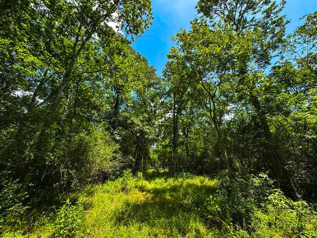 4888 Baldwin Drive, Hungerford, Texas image 17