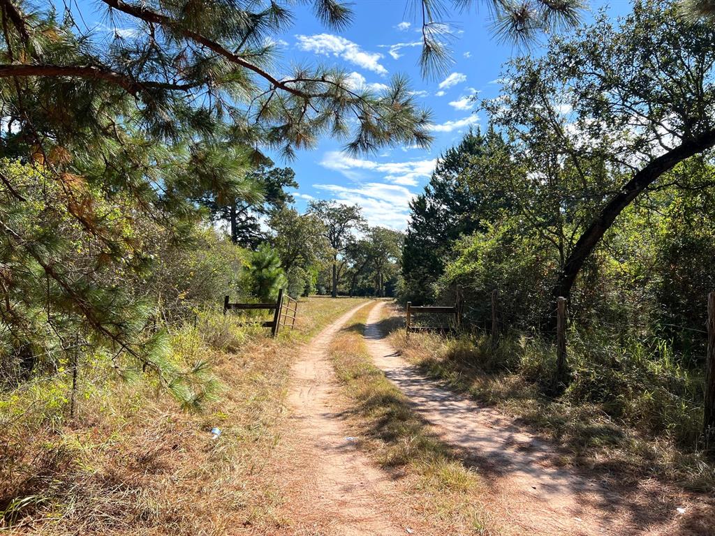 1091 Reese Lane, Columbus, Texas image 19