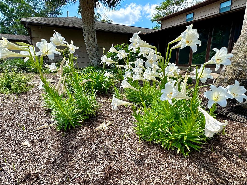 115 Driftwood Drive, Taylor Lake Village, Utah image 30
