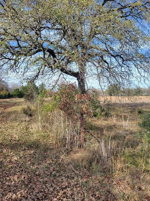 Vacant Land For Sale - 1 Navarro Lane<br/> Grapeland, TX 75855