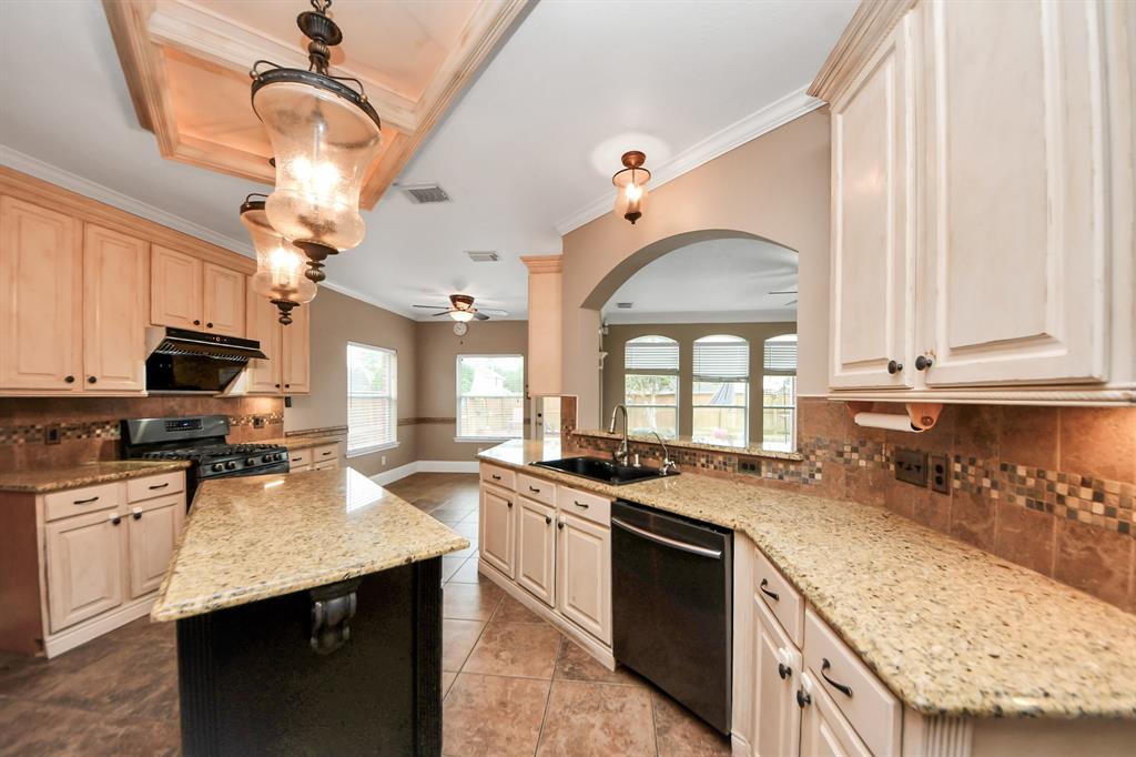 3613 Pine Valley Drive, Pearland, Texas image 9