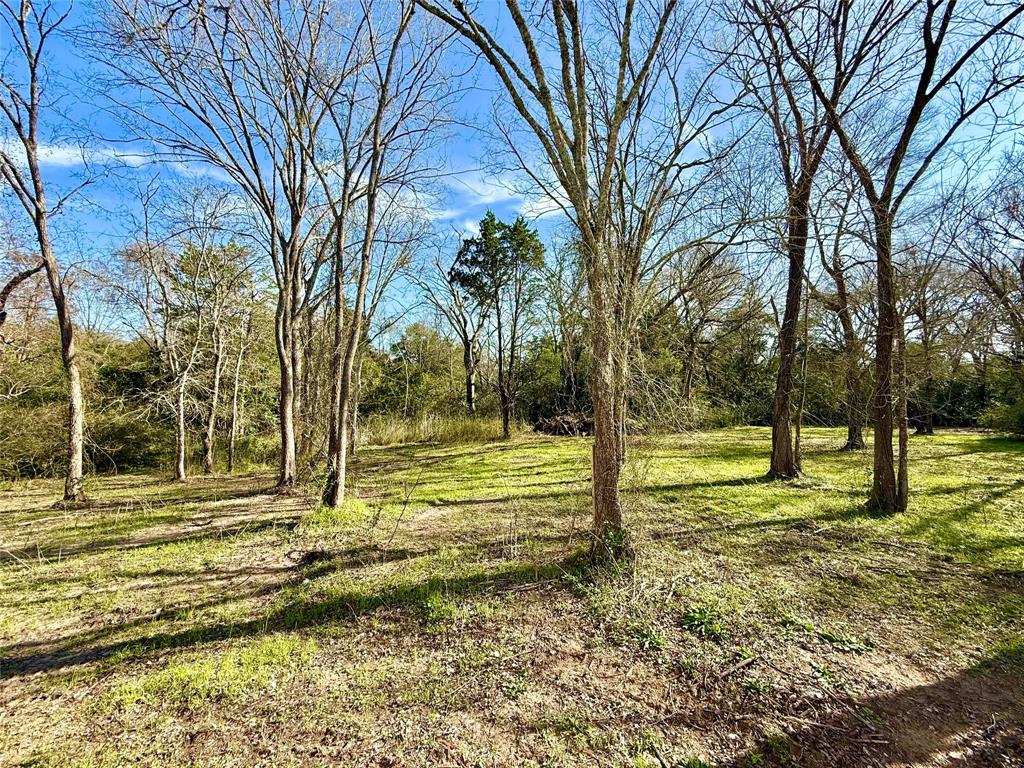 1309 Hidden Creek Lane, Brenham, Texas image 9