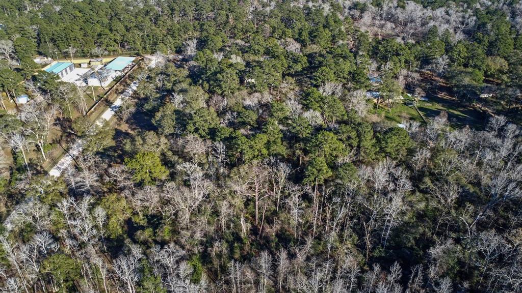 19826 Alford Road, Magnolia, Texas image 49