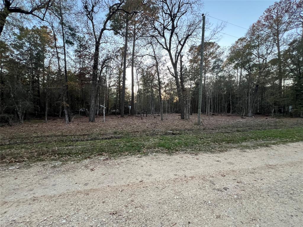 Deer Trail, Livingston, Texas image 8