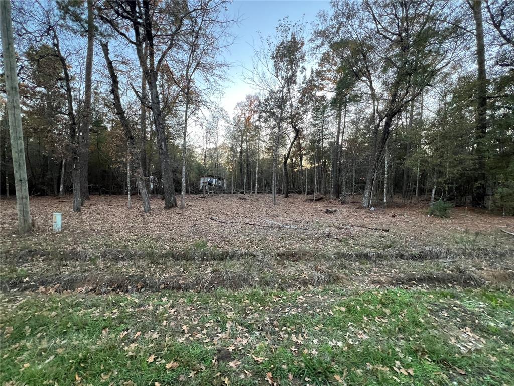 Deer Trail, Livingston, Texas image 3