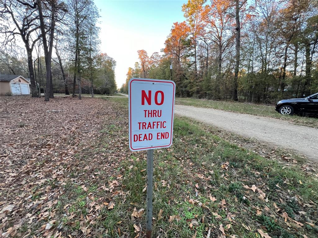 Deer Trail, Livingston, Texas image 11