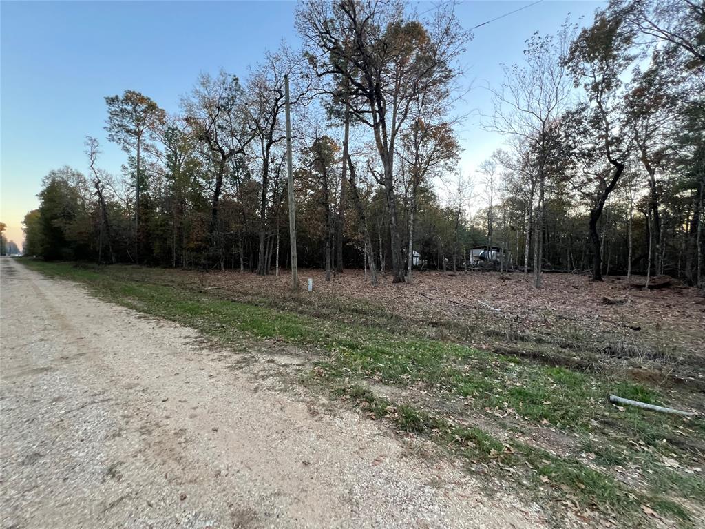 Deer Trail, Livingston, Texas image 5