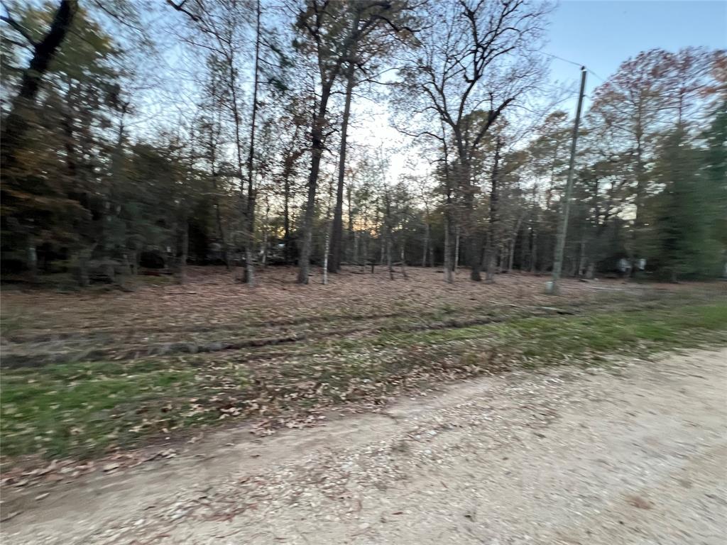 Deer Trail, Livingston, Texas image 1