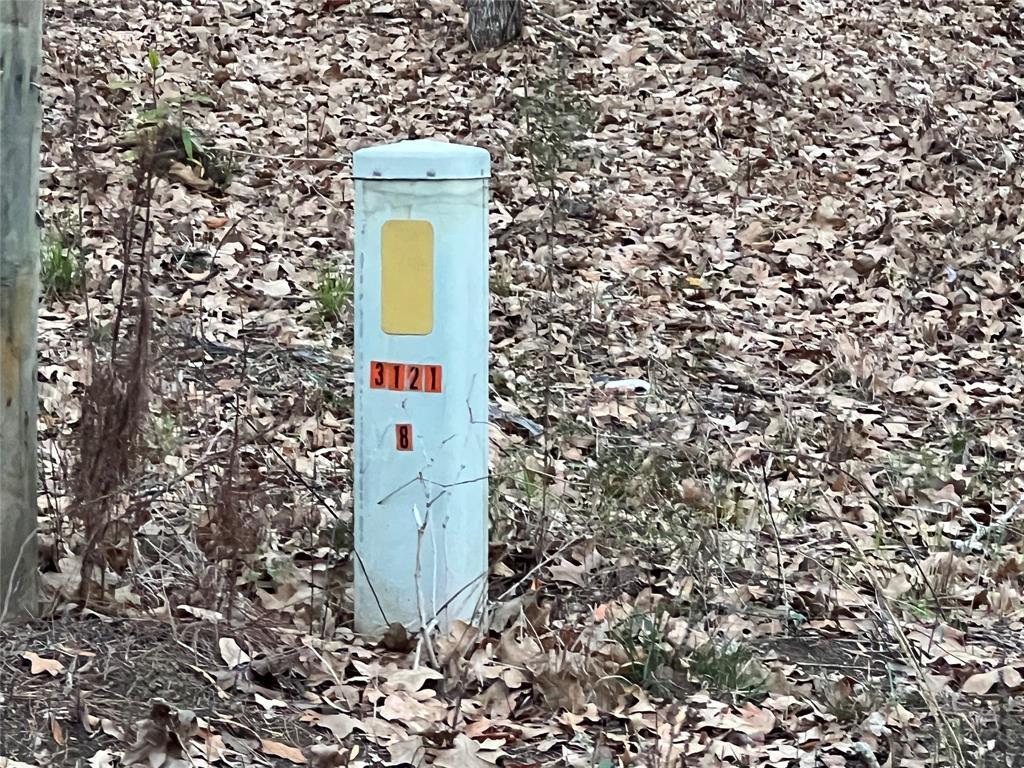 Deer Trail, Livingston, Texas image 12