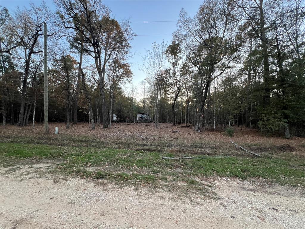 Deer Trail, Livingston, Texas image 6