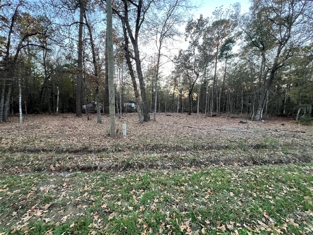 Deer Trail, Livingston, Texas image 2