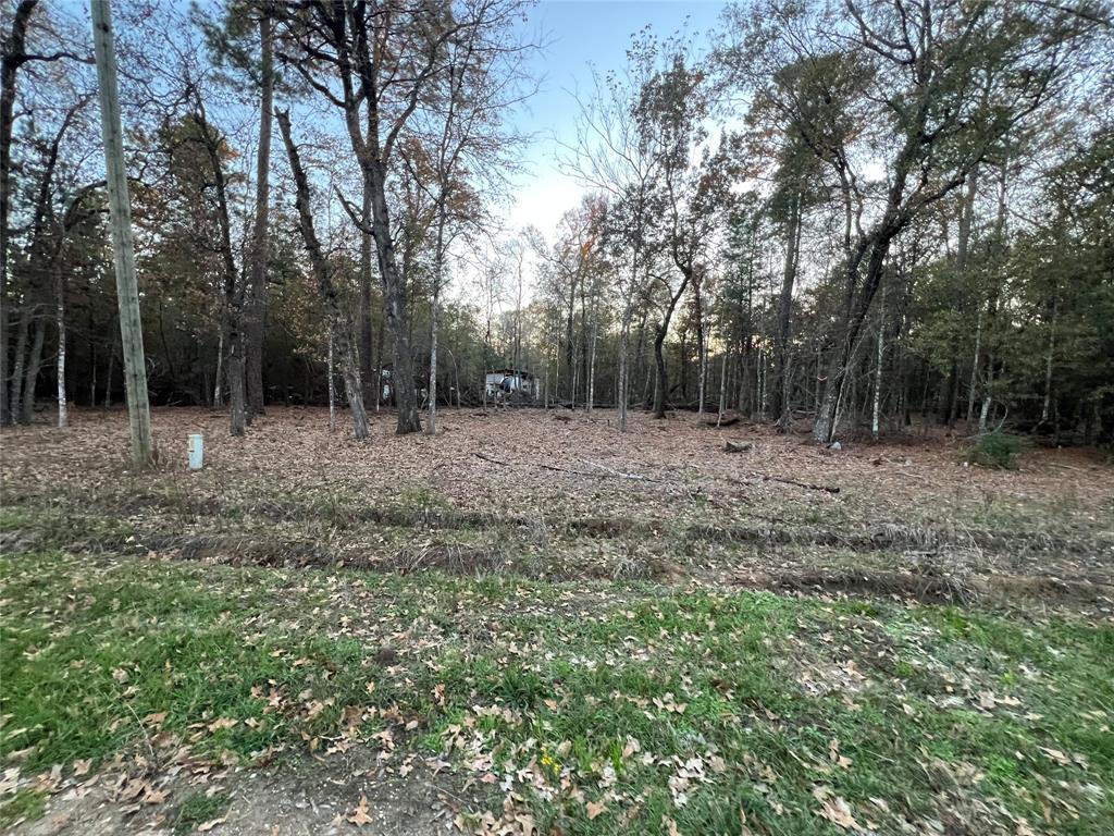 Deer Trail, Livingston, Texas image 4