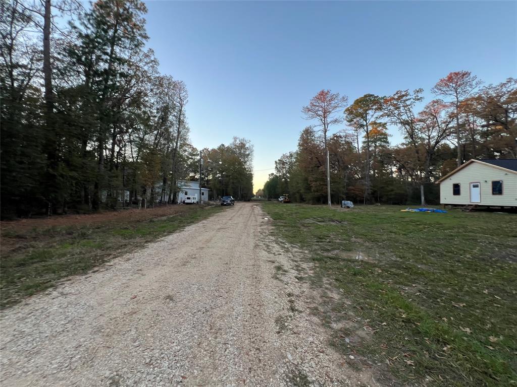 Deer Trail, Livingston, Texas image 15