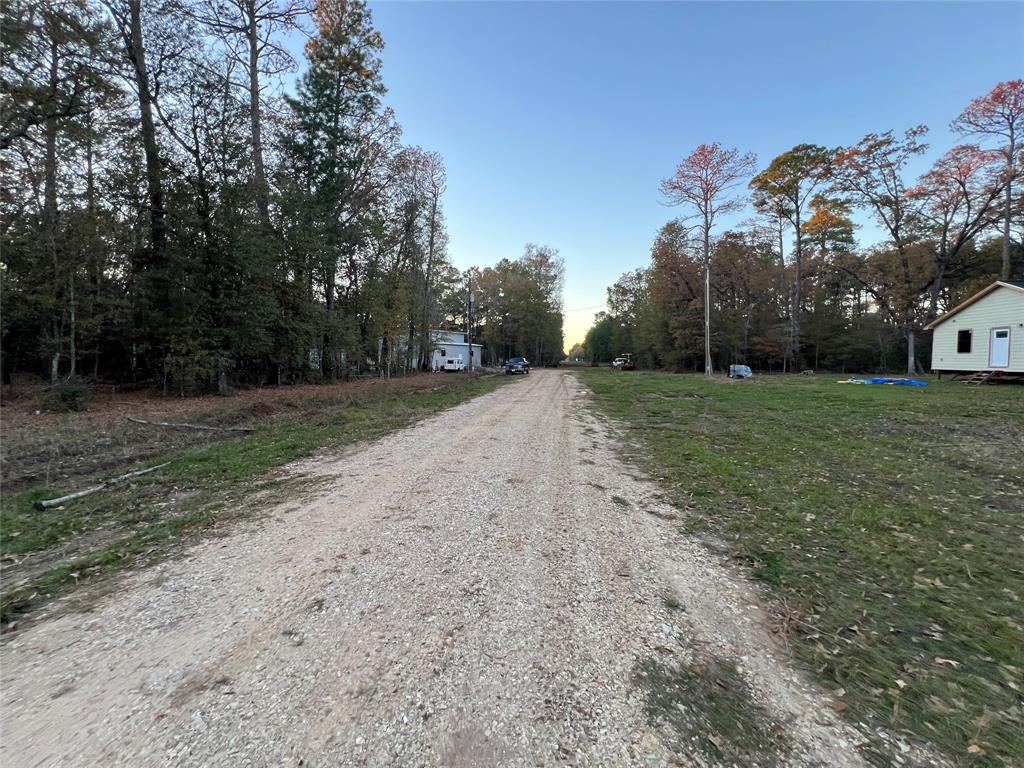 Deer Trail, Livingston, Texas image 14