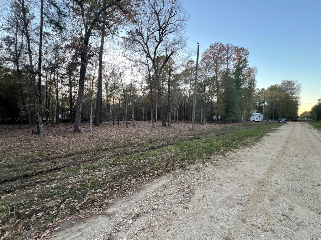 Deer Trail, Livingston, Texas image 9