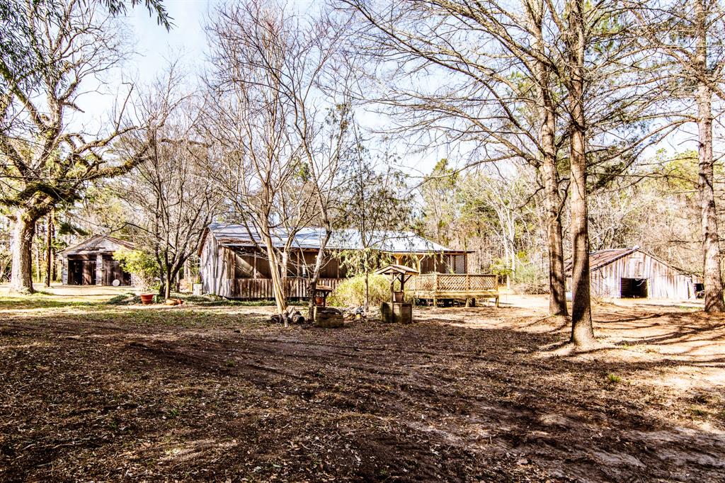 382 Sawmill Drive, Lovelady, Texas image 5