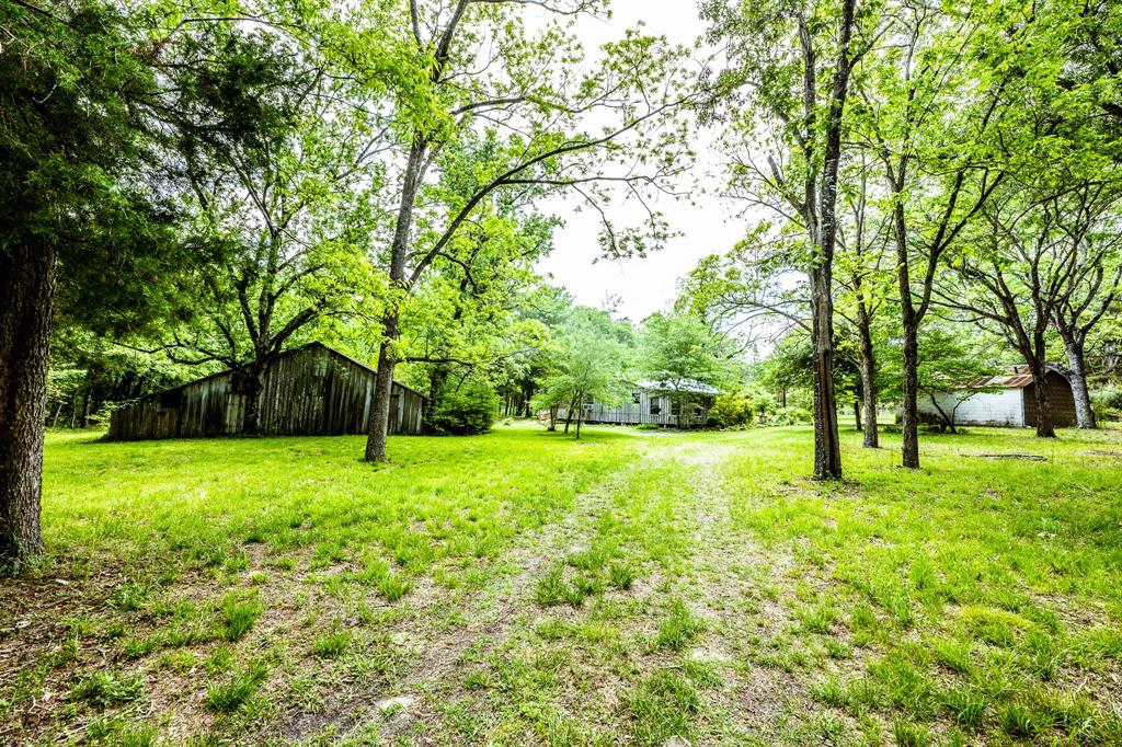 382 Sawmill Drive, Lovelady, Texas image 22