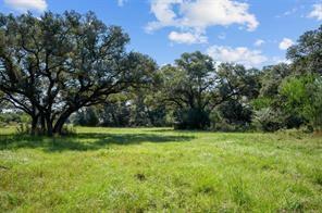 TBD LOT 12 Legacy Court, Columbus, Texas image 3