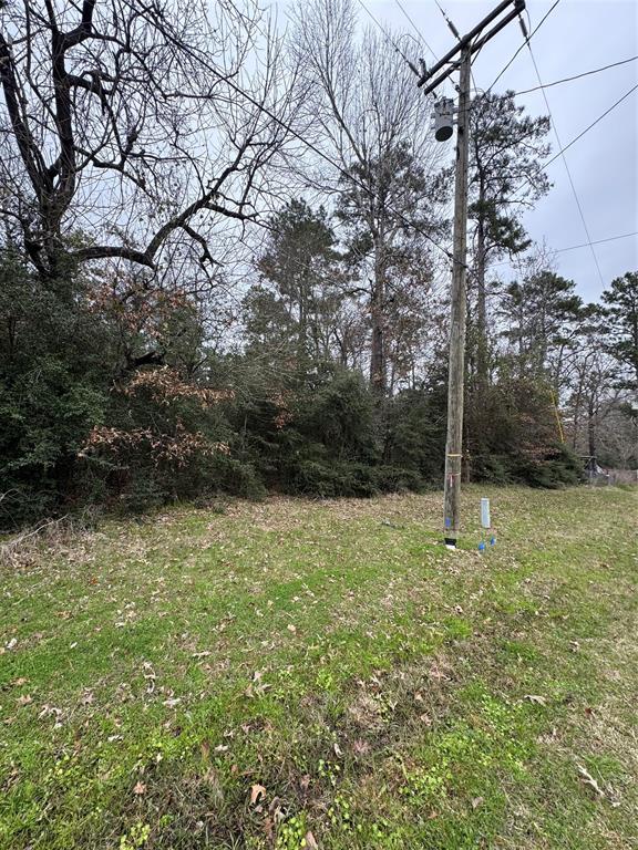 Lot 182 Sequoia Lane, Onalaska, Texas image 4