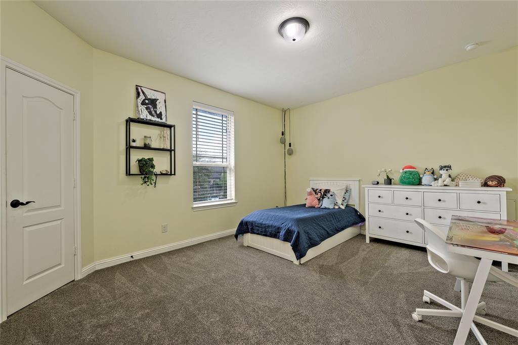 19418 Timpson Reservoir Drive, Cypress, Texas image 30