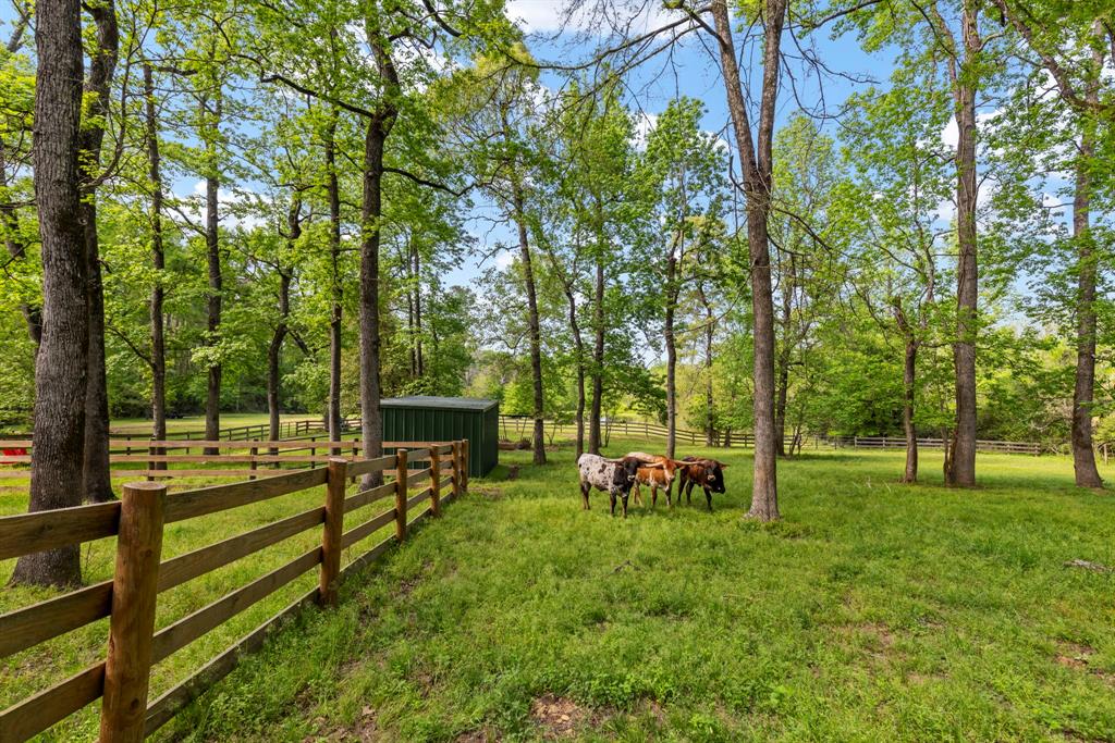 40326 Donna Ana Road, Magnolia, Texas image 39