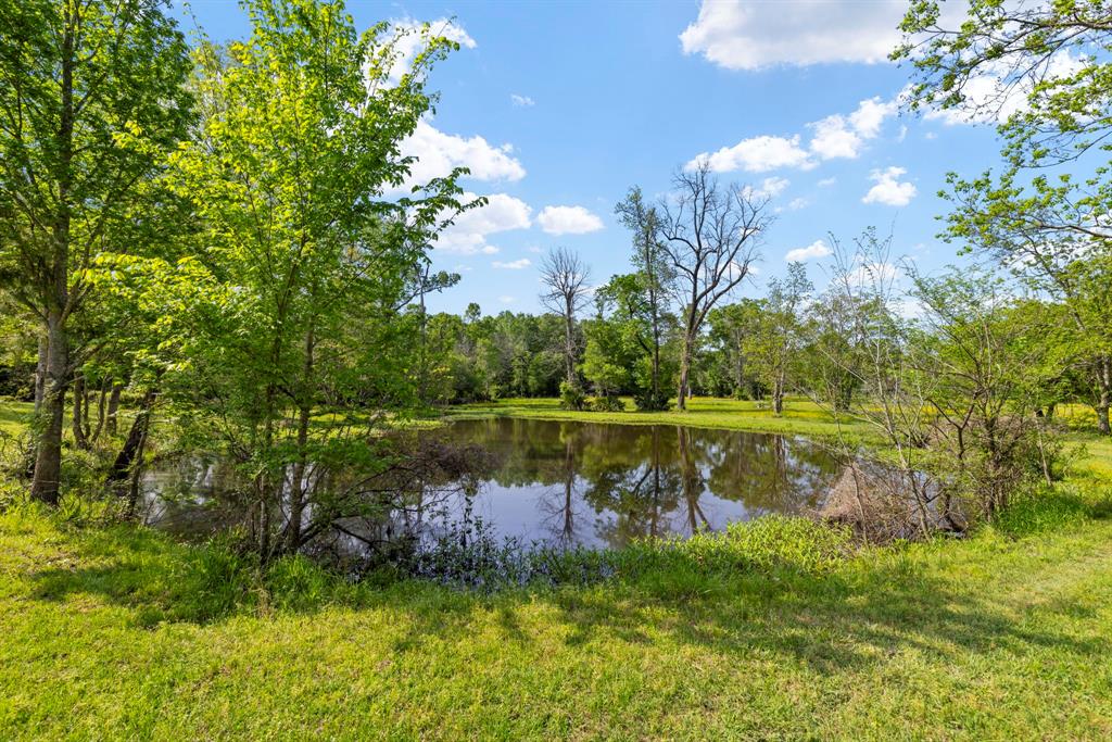 40326 Donna Ana Road, Magnolia, Texas image 43