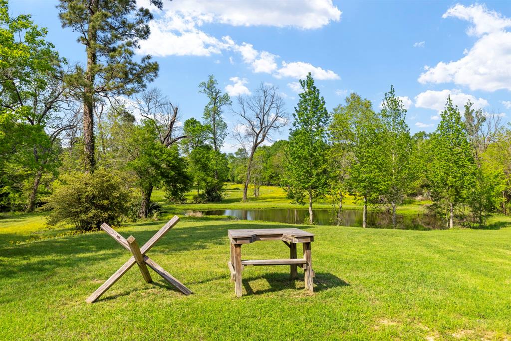 40326 Donna Ana Road, Magnolia, Texas image 42