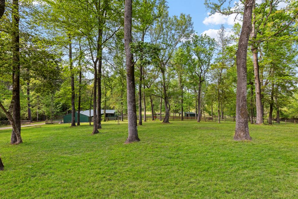 40326 Donna Ana Road, Magnolia, Texas image 38