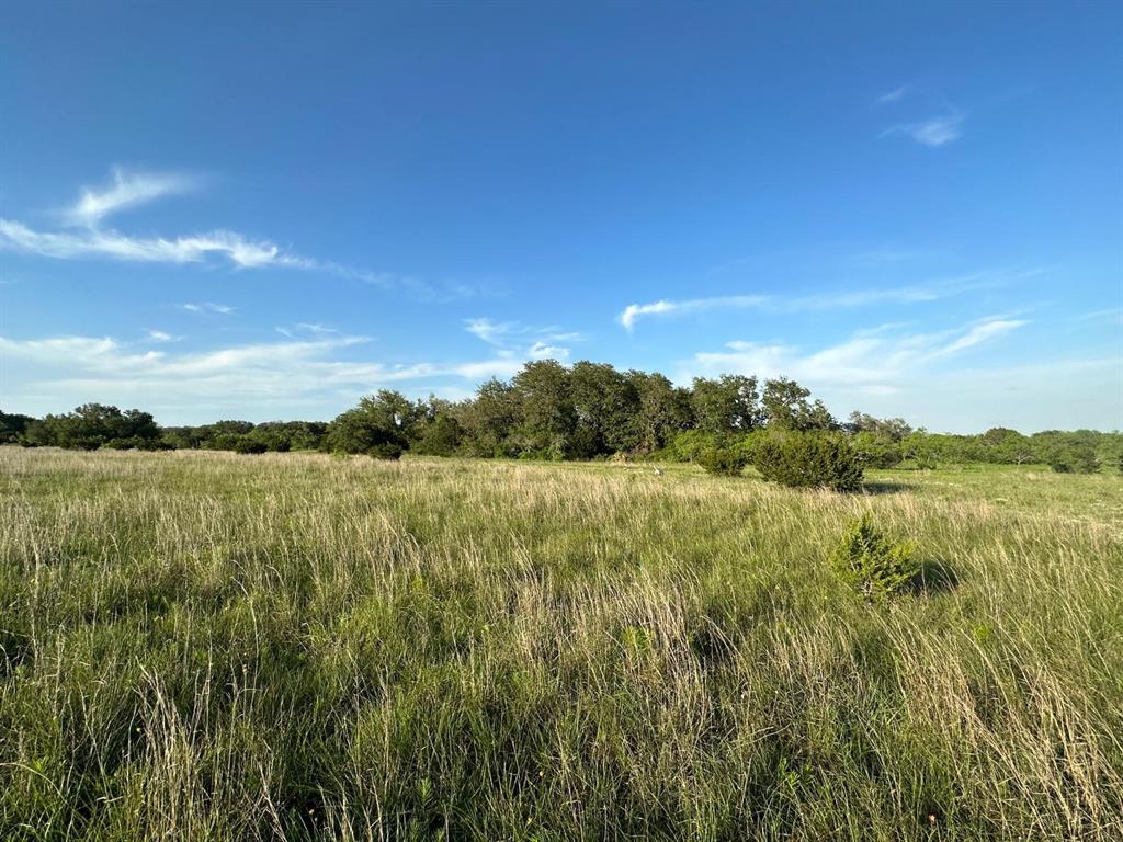 TBD Lot 1 County Road 210, Bertram, Texas image 14