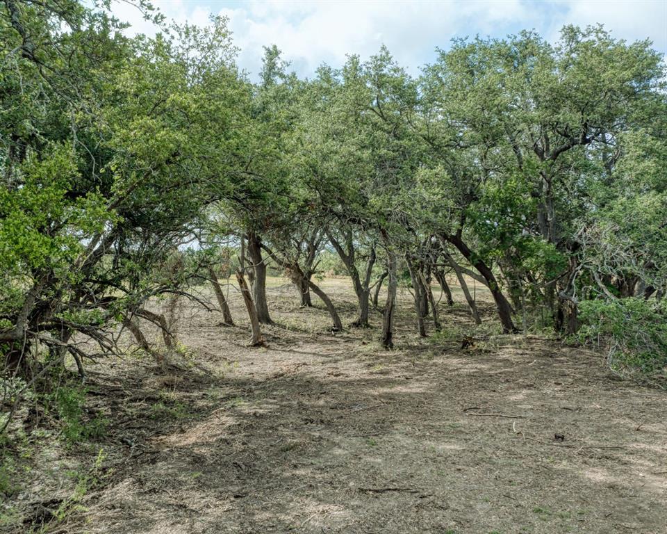 TBD Lot 1 County Road 210, Bertram, Texas image 6