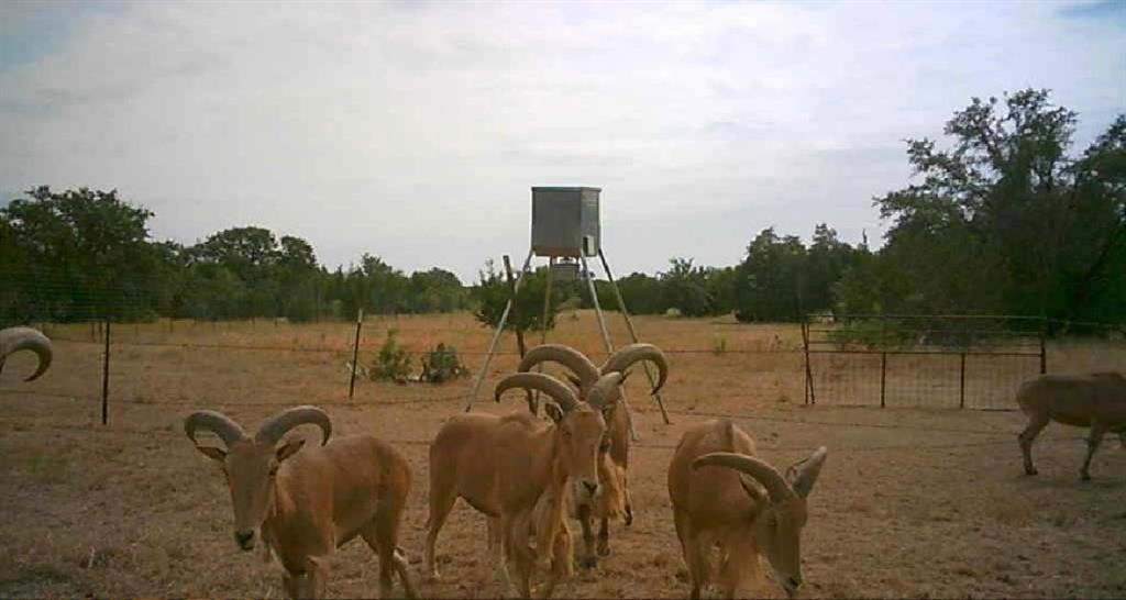 TBD Lot 1 County Road 210, Bertram, Texas image 12