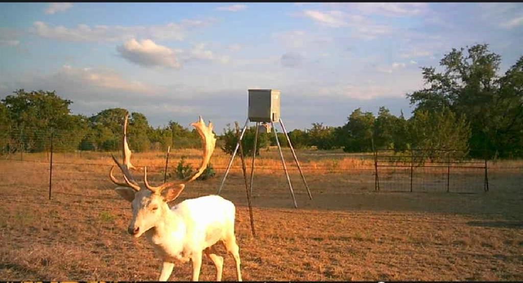 TBD Lot 1 County Road 210, Bertram, Texas image 13