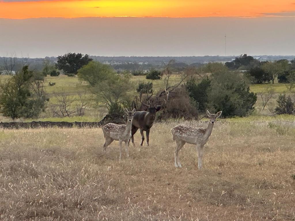 TBD Lot 1 County Road 210, Bertram, Texas image 8