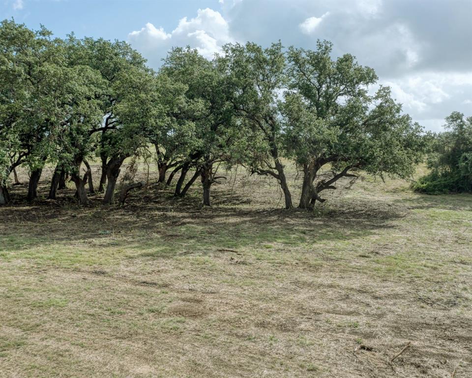 TBD Lot 1 County Road 210, Bertram, Texas image 7