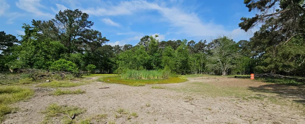 435 Indian Shores Road, Crosby, Texas image 10