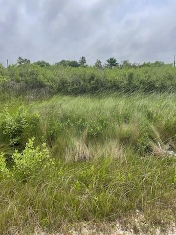 S Sonny Ln, Galveston, Texas image 2