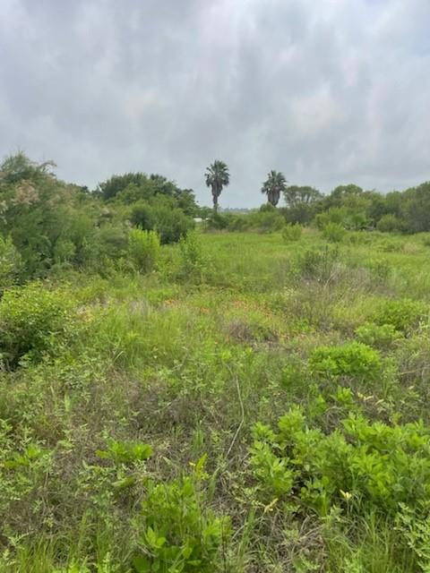 S Sonny Ln, Galveston, Texas image 4