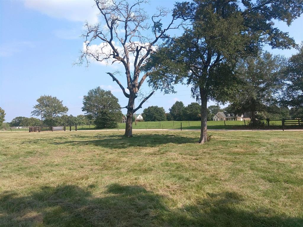 000 Quails Road, Hempstead, Texas image 4