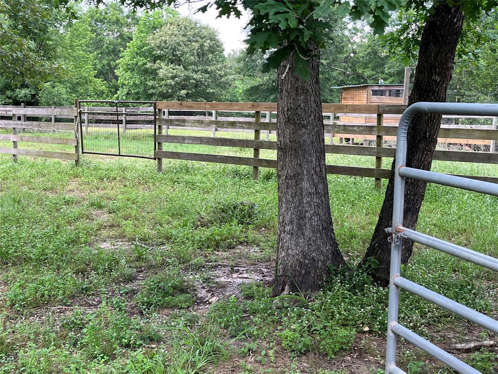 495 Taras Path Path, Livingston, Texas image 6