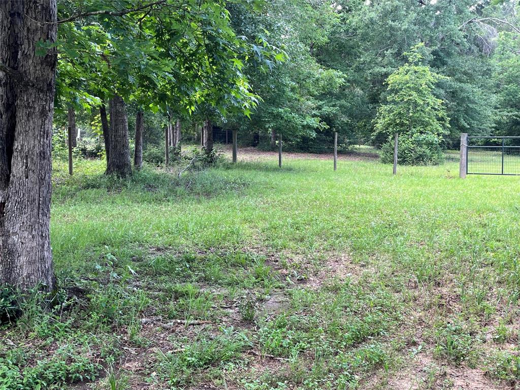 495 Taras Path Path, Livingston, Texas image 9